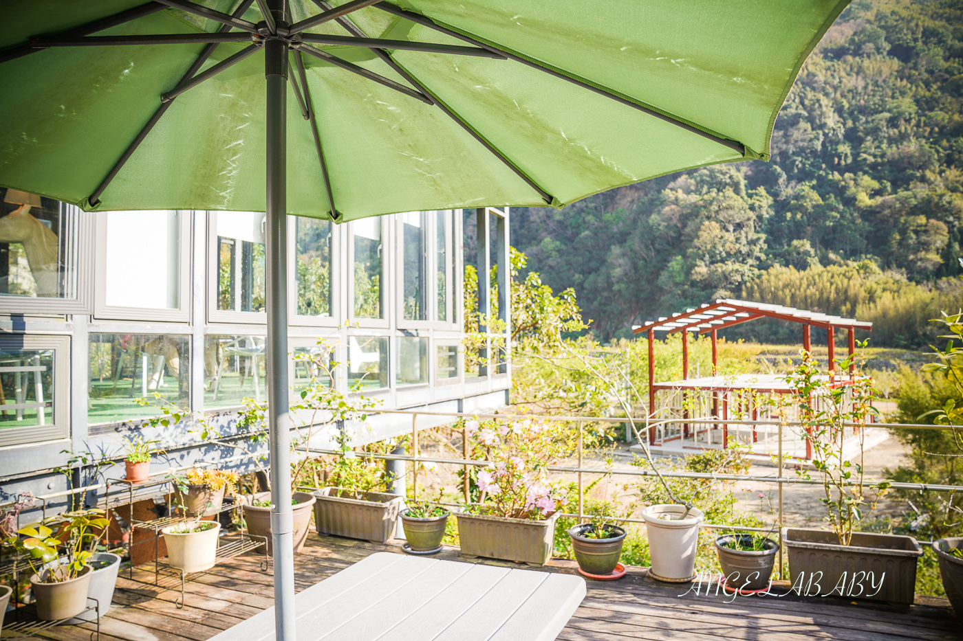 新竹尖石景觀咖啡『Z cafe景觀咖啡店』隱藏版山林裡的空中玻璃屋、寵物友善咖啡 @梅格(Angelababy)享樂日記